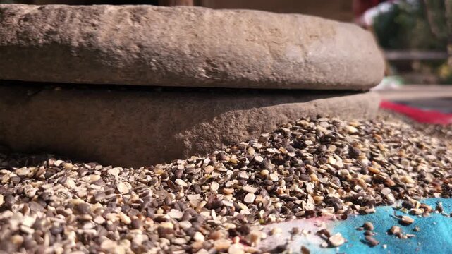 Indian woman in a rural village uses a traditional hand operated millstone (quern) to grind black gram lentils, showcasing authentic village life, heritage food preparation, and indigenous household
