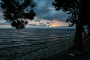 Dramatic Dark Sunset over a Moody Sea or Lake with Silhouetted Pine Branches Framing the View and a Narrow Strip of Light Breaking Through Overcast Clouds.
