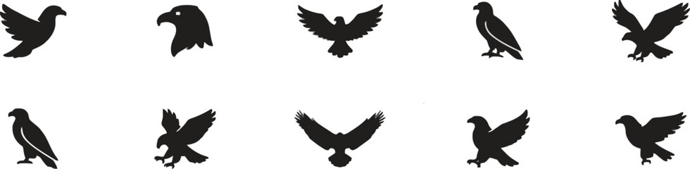 Obraz premium Eagle and hawk bird silhouette collection for logo design