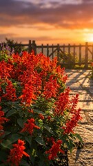 fiery red garden flowers illuminated by orange sunset casting long shadows across textured stone pathway