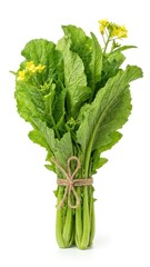 fresh vibrant green mustard greens tied tightly with brown jute string bright yellow flowers
