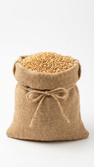 rough textured burlap sack overflowing with bright golden wheat grains isolated white