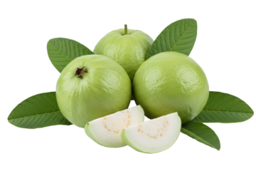 fresh guava fruit image design decoration without background