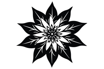 Obraz premium edelweiss silhouette line art vector illustration