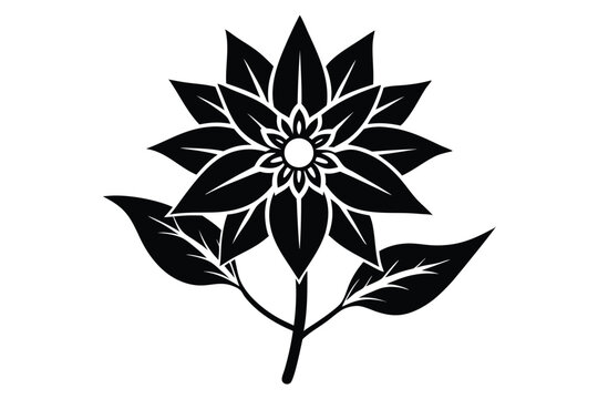 edelweiss silhouette line art vector illustration