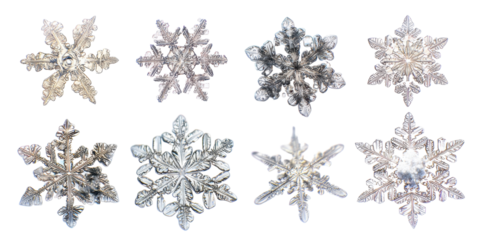 Collection of Unique Intricate Snowflake Crystals Isolated on Background