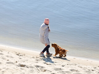A girl walking a cocker spaniel dog on the beach near the water. Holidays at sea with pets. Joyful game with a dog near the river. Breeding thoroughbred hunting dogs. A place for swimming and relax