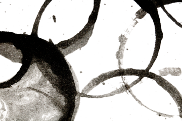 Distressed Monochrome Ink Circle Texture and Splatter Graphic  Transparent Background