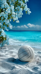 Beach scene with volleyball near the ocean under a clear sky during midday