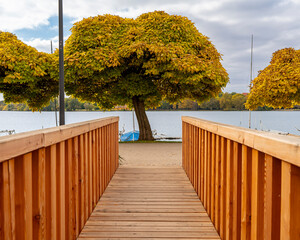 Amazing fall-colored trees surronding the old lake of Tata city, Hungary, Europe. Hungarian name Tatai oreg to.
