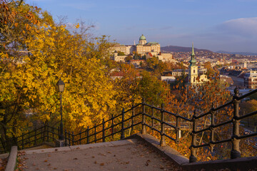 Fall-colored green area in the Gellert hill Budapest, Hungary. Buda Royal castle on the background