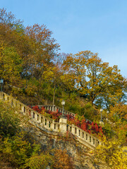 Fall-colored green area in the Gellert hill Budapest, Hungary. Autumn foilage on Gellert mountain in Budapest, Hungary
