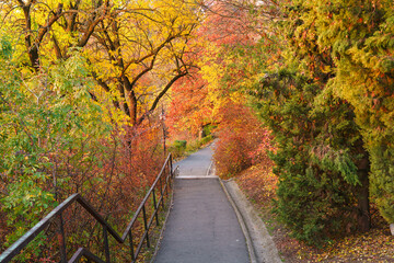Fall-colored green area in the Gellert hill Budapest, Hungary. Autumn foilage on Gellert mountain in Budapest, Hungary