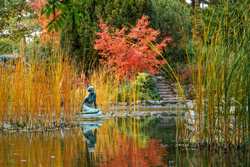 Beautiful colors in Margit island, Budapest, Hungary. Amazing mood in the most fascinating green place in the capital of Hungary.