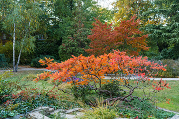 Beautiful colors in Margit island, Budapest, Hungary. Amazing mood in the most fascinating green place in the capital of Hungary.