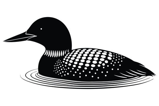 common loon silhouette line art vector illustration