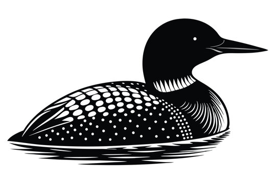 common loon silhouette line art vector illustration