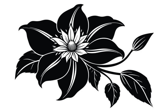 clematis silhouette line art vector illustration