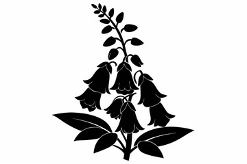 foxglove silhouette line art vector illustration © kanchanrani