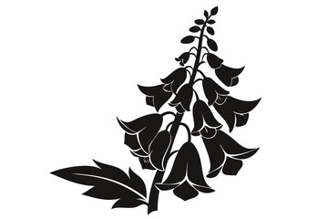 foxglove silhouette line art vector illustration © kanchanrani