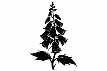 foxglove silhouette line art vector illustration © kanchanrani