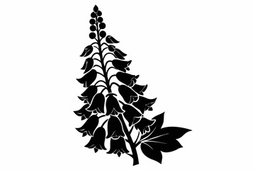 foxglove silhouette line art vector illustration © kanchanrani