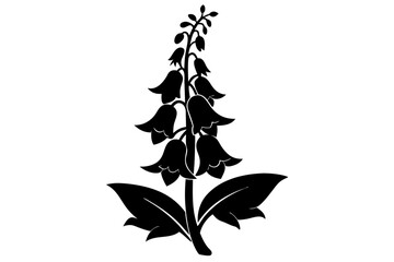 foxglove silhouette line art vector illustration © kanchanrani