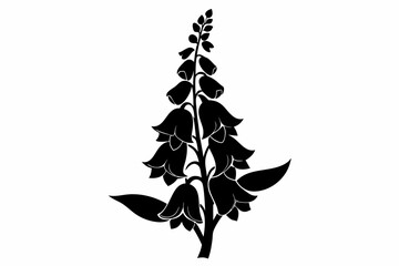 foxglove silhouette line art vector illustration © kanchanrani