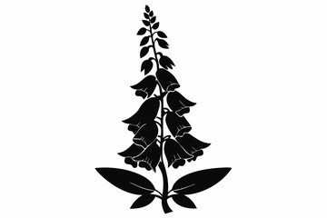 foxglove silhouette line art vector illustration © kanchanrani