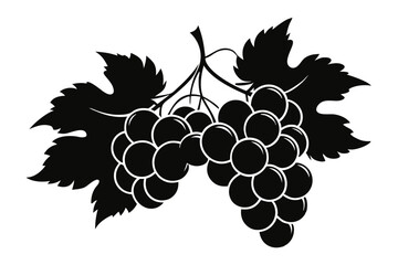 Fototapeta premium grapes silhouette line art vector illustration