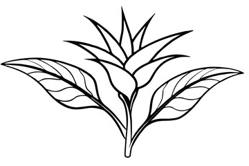 Fototapeta premium heliconia silhouette line art vector illustration