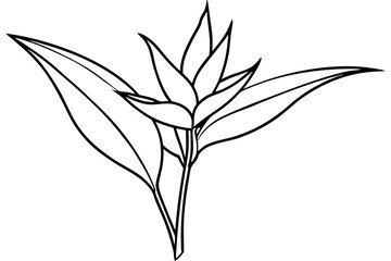 Fototapeta premium heliconia silhouette line art vector illustration