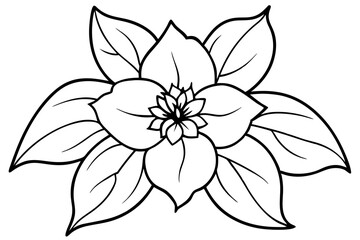 hellebore silhouette line art vector illustration