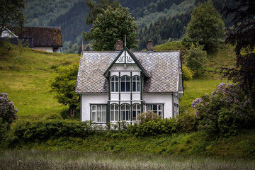Wooden white abandoned Scandinavian house in green area