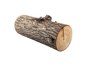 Plain wooden log segment with rough bark texture and visible growth rings