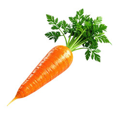 Vivid orange carrot with lush green tops, isolated on black background