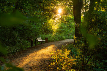 Rezerwat Przyrody Niebieskie Źródła.