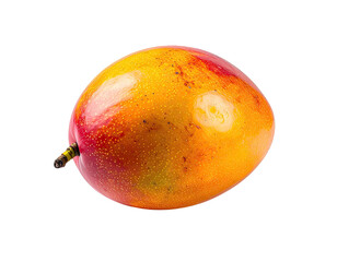 A vibrant, ripe tropical fruit, oval-shaped with a dark stem, set on black