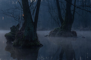 Rezerwat Przyrody Niebieskie Źr&oacute;dła.