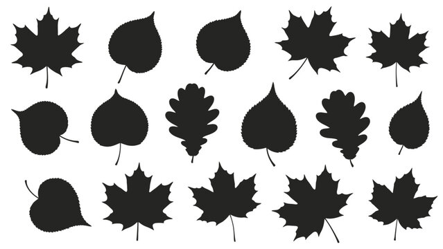 Collection of Various Black Leaf Silhouettes.