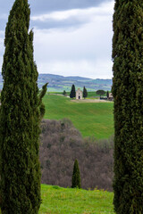 Fototapeta premium rural landscape in Val d'Orcia with Vitaleta chapel
