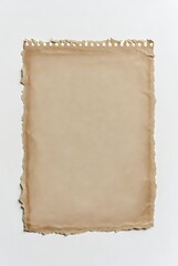 Obraz premium Vintage Aged Paper: Blank Antique Stationery with Torn Edges