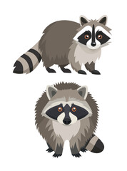 Obraz premium Raccoon. Flat vector clipart, illustration with isolated background.