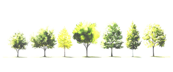 Vector Artistic Nature Trees with Soft Texture on White Landscape Design Elements