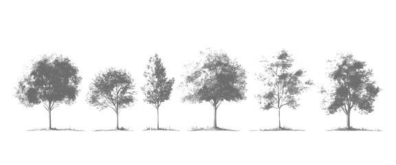 Vector White And Black Artistic Nature Organic Tree Shapes Collection Isolated on White