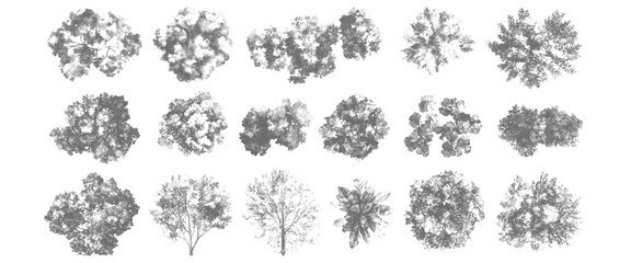 Vector White And Black Artistic Nature Organic Tree Shapes Collection Isolated on White