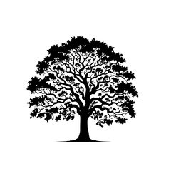 Fototapeta premium Oak Tree Vector Illustration