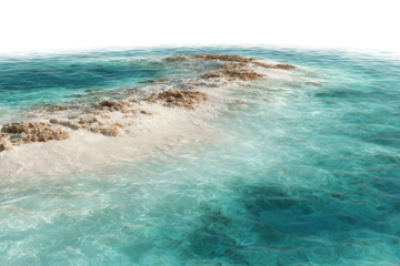 Aerial view of shallow coral reef and sandbar isolated on transparent background
