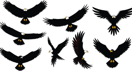 Obraz premium Bald eagle vector set, flying bird silhouettes, patriotic american symbols, wildlife illustrations, majestic predator collection, soaring eagle graphics for logos, designs, and stickers.