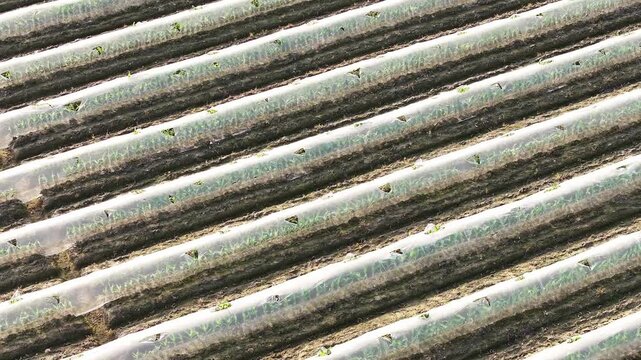 Close-up of rusted corrugated metal sheet showing detailed texture and surface wear